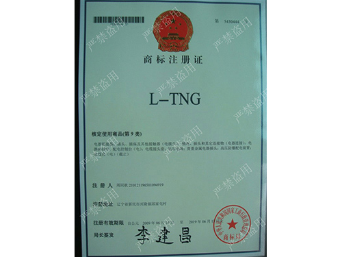 商标注册证L-TNG